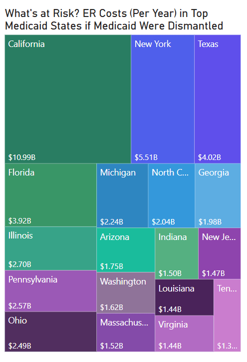 Medicaid Treemap